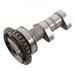 Camshaft exhaust HOT CAMS 4279-1E