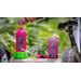 Punk Powder Bike Cleaner MUC-OFF 20609 (4 pack) with Bottle for Life