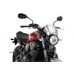 Windshield PUIG FRONTAL PLATE 3593P srebrna