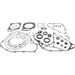 Complete gasket kit WINDEROSA 8110068 with seals