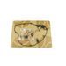 Water pump gasket kit ATHENA P400510470006