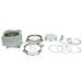 Cilinder kit ATHENA P400485100054 Big Bore d 102 mm, 500 cc