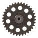 Camshaft intake HOT CAMS 2249-1IN