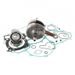 Bottom end kit HOT RODS CBK0109