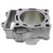 Standard bore cylinder CYLINDER WORKS CW10011 79mm za HONDA CRF 250 R 2018-2023, HONDA CRF 250 RX 2018-2023