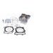 Cilinder kit ATHENA P400250100027 d 83 mm (282 cc) (big bore)