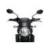 Windshield PUIG FRONTAL PLATE 3590C carbon look