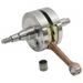 Crankshaft HOT RODS 4025