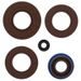 Engine Oil Seal Kit WINDEROSA 822128