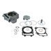 Cilinder kit ATHENA P400250100021 Standard Bore d 96 mm, 450 cc