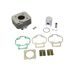 Cilinder kit ATHENA 071800 Standard Bore (with Head) d 40 mm, 50 cc