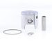 Cast Piston ATHENA S4C05000013B d 49,96 mm for OE Cylinder