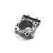 Cilinder kit ATHENA P400250100027 d 83 mm (282 cc) (big bore)