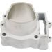 Standard Bore Cylinder Kit CYLINDER WORKS CW30017K01