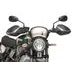 Windshield PUIG FRONTAL PLATE 3591C carbon look