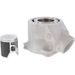 Standard Bore Cylinder Kit CYLINDER WORKS CW20015K01