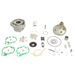 Cilinder kit ATHENA P400130100004 Standard Bore d 40 mm, 50 cc, Exhaust Valve