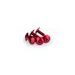 Screws PUIG ANODIZED 0611R rdeč M6 x 15mm (6pcs)