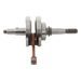 Crankshaft HOT RODS 4043