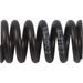 Valve spring kit HOT CAMS VSK2002