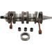 Crankshaft HOT RODS 4004
