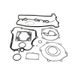 Complete gasket kit WINDEROSA 8080008 without seals