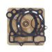 Set tesnil za motor ATHENA P400250160015 for Athena Standard Bore Cylinder kit