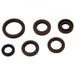 Engine Oil Seal Kit WINDEROSA 822367