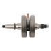 Crankshaft HOT RODS 4021