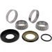 Steering bearing kit All Balls Racing 22-1081