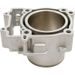 Standard Bore Cylinder Kit CYLINDER WORKS 60005-K01 99mm