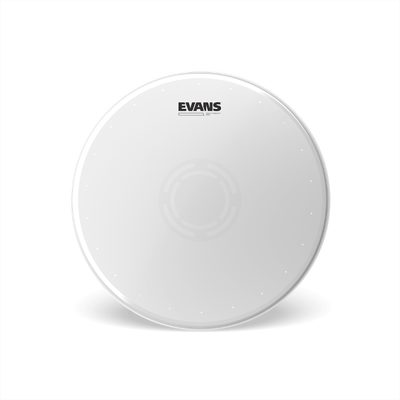 Evans B14HWD 14" Heavyweight Dry