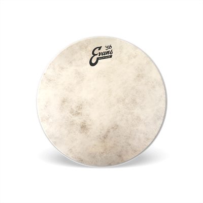 Evans TT14C7 Calftone 14"