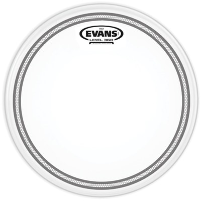 Evans B12EC2S 12" EC2 SST