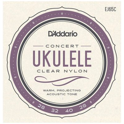 D’Addario EJ65C