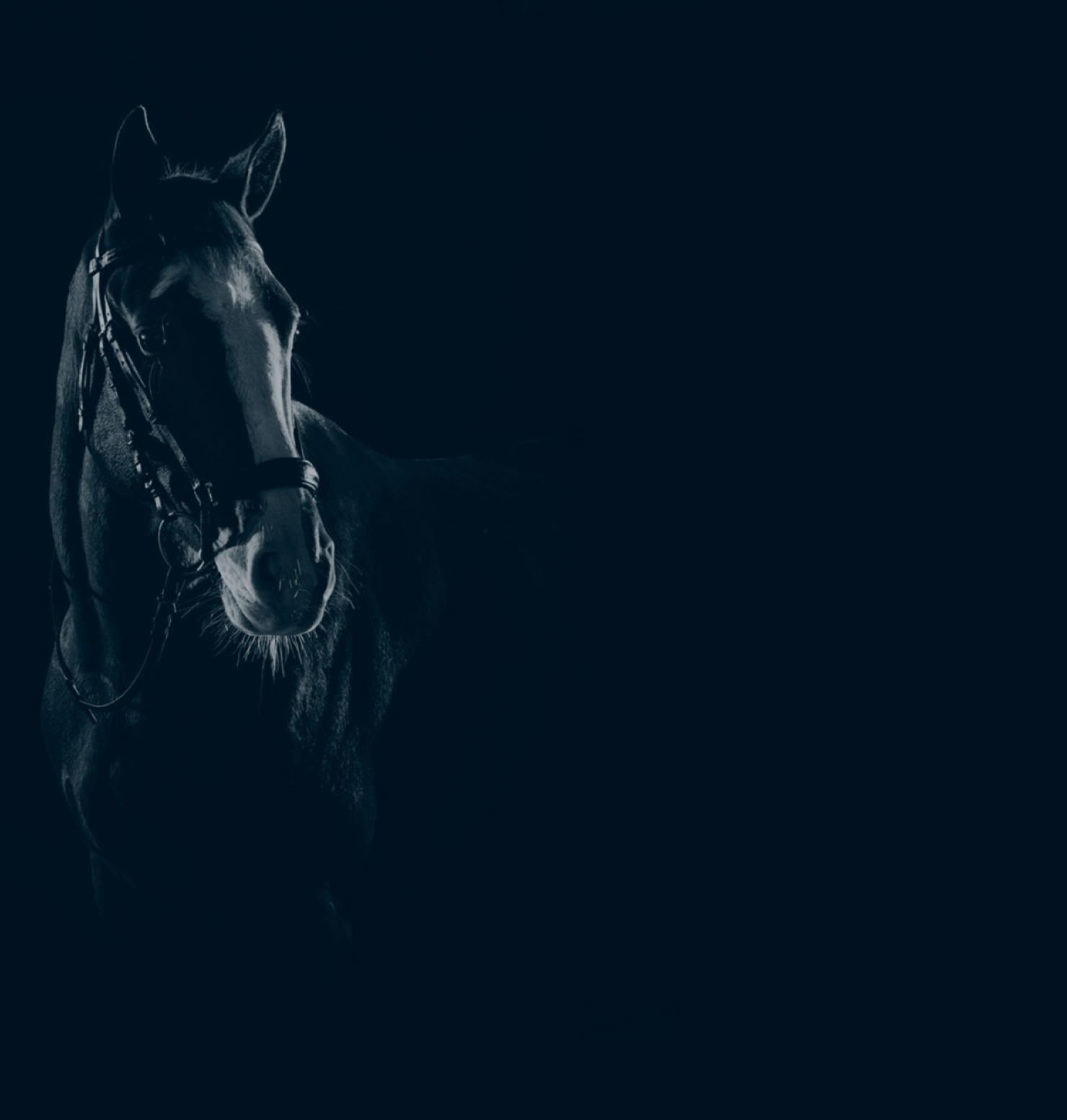 EQS magazín - vše ze světa koní